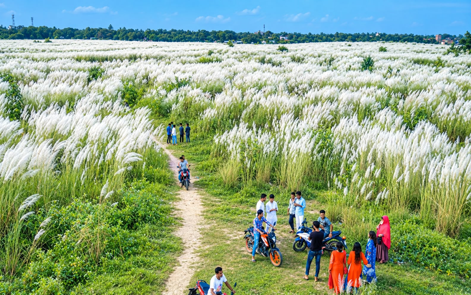 নীল আকাশে সাদা কাশফুল, শরতের মায়ায় মুগ্ধ সোনারগাঁয়ের ভাটিবন্দর